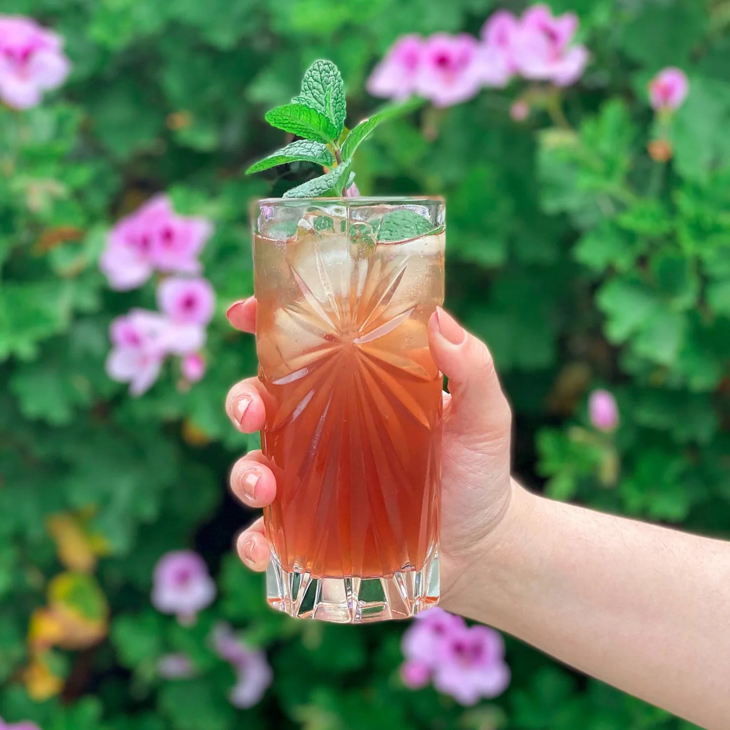 SIXBARREL